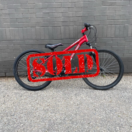 Raleigh Scout XC 24"